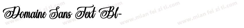 Domaine Sans Text Bl字体转换